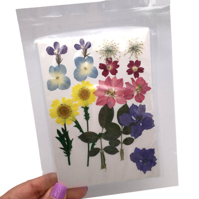 Large Pressed Dry Flowers, Dried Flat Flower Packs, Pressed Flowers For Resin Crafts
