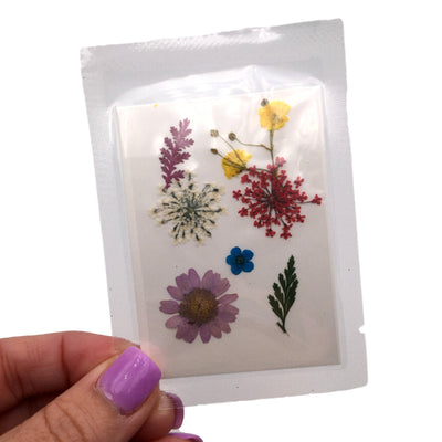 Small Mixed Color Pressed Dry Flowers, Dried Flat Flower Packs, Pressed Flowers For Resin Crafts