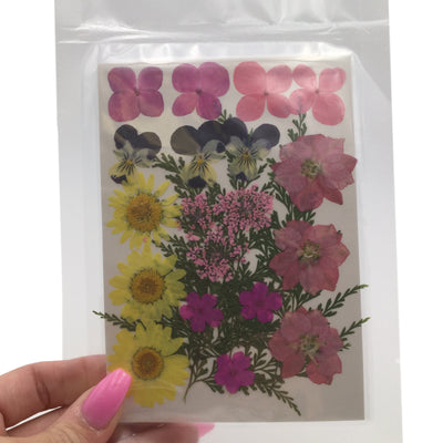 Large Pressed Dry Flowers, Dried Flat Flower Packs, Pressed Flowers For Resin Crafts - 2874