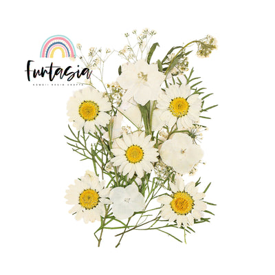 White Dried Flowers for Resin, Dried Flat Flower Packs, Pressed Flowers For Resin Crafts